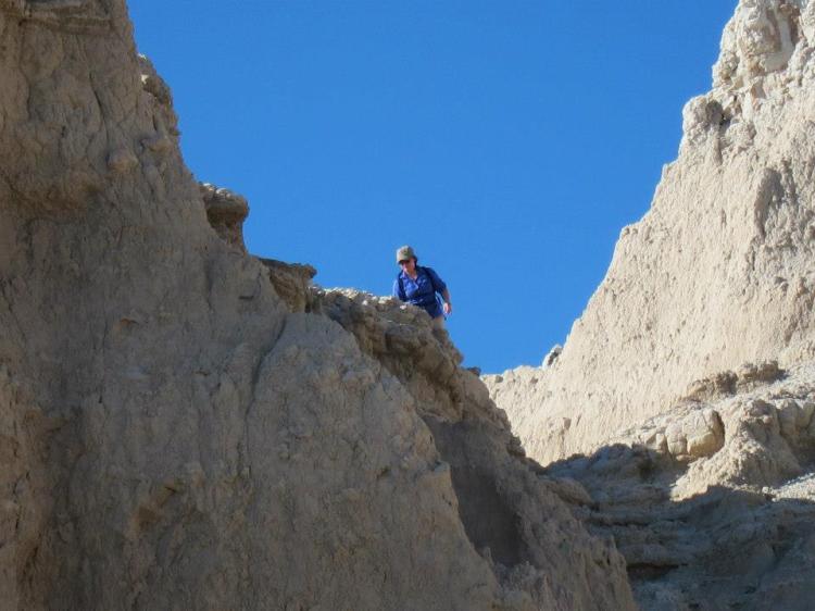 11846500_1201862976497458_8990695028183387132_n