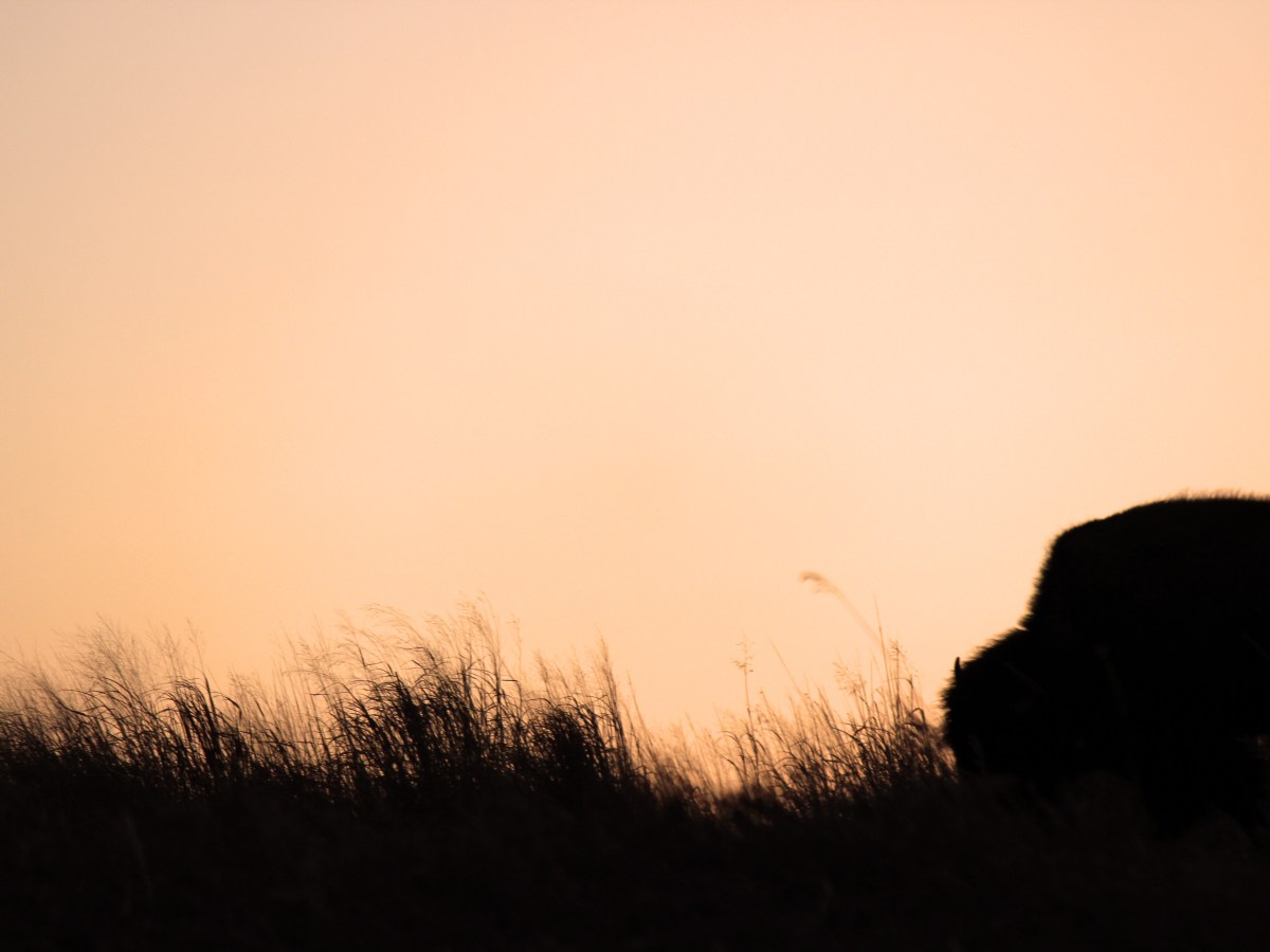 A Spell for Starting Over (Sandhills&nbsp;Edition)