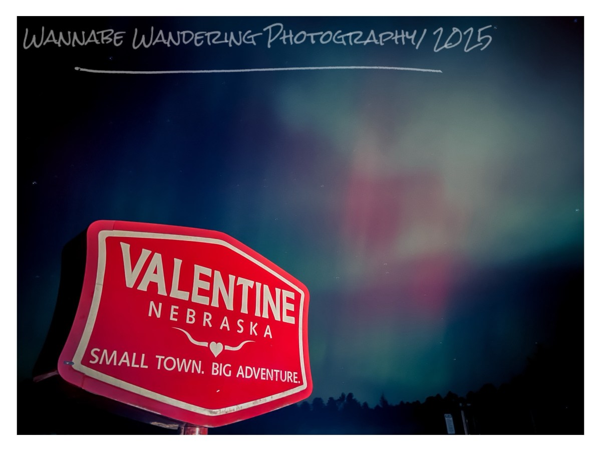 Back to the Backpack&nbsp;(Eventually)